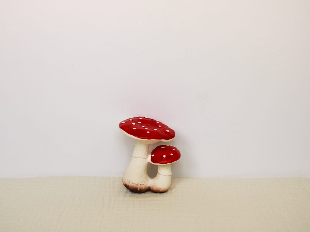 spot-the-mushroom